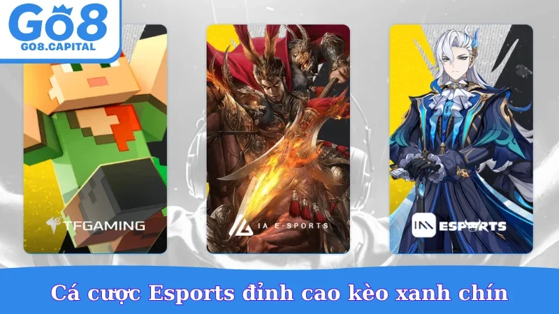 Cá cược Esports đỉnh cao kèo xanh chín